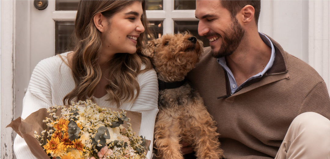 Recomendados Fall Whispers