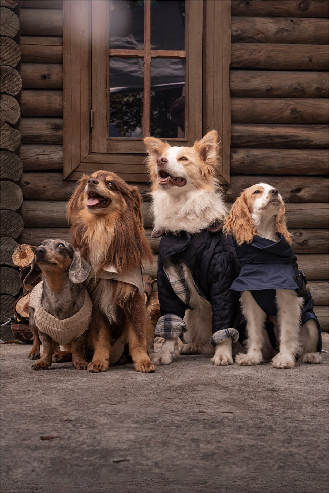 Nuevo drop Friends of Friends 2026