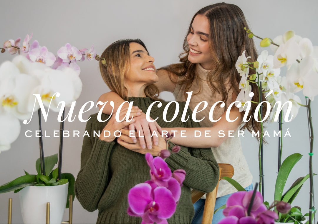 ¡Feliz Día Mamá!