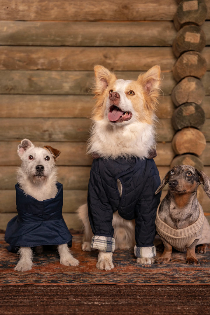 3-Pack Pets Classics