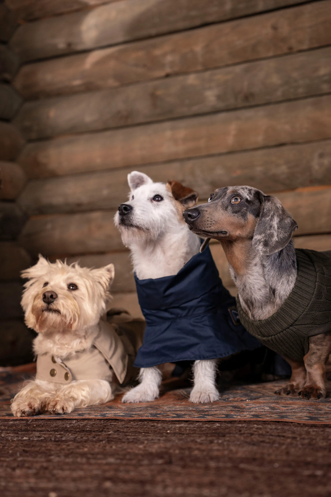 3-Pack Pet Essentials