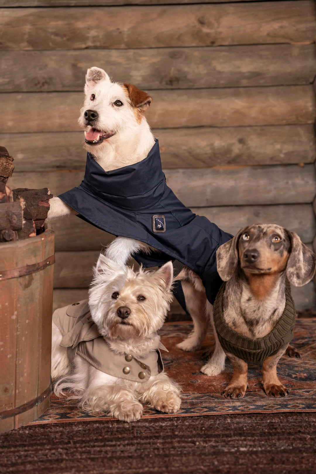 3-Pack Pet Essentials