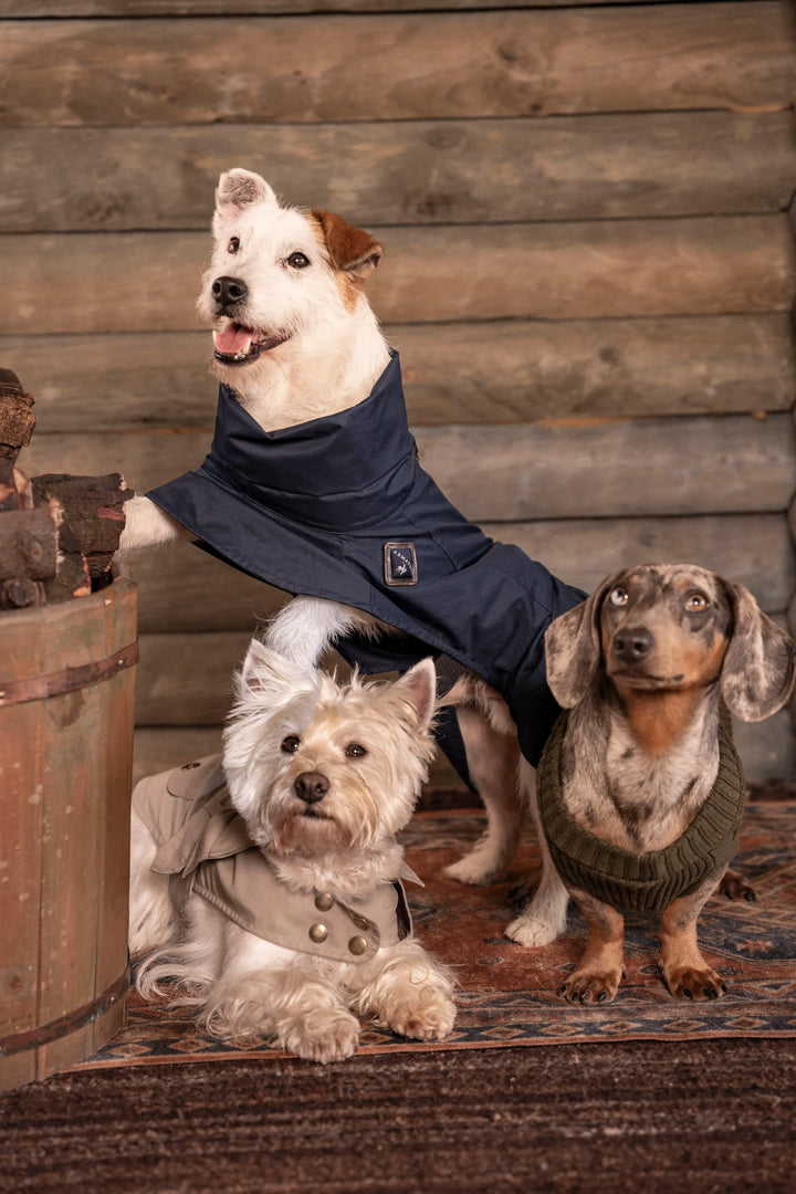 3-Pack Pet Essentials