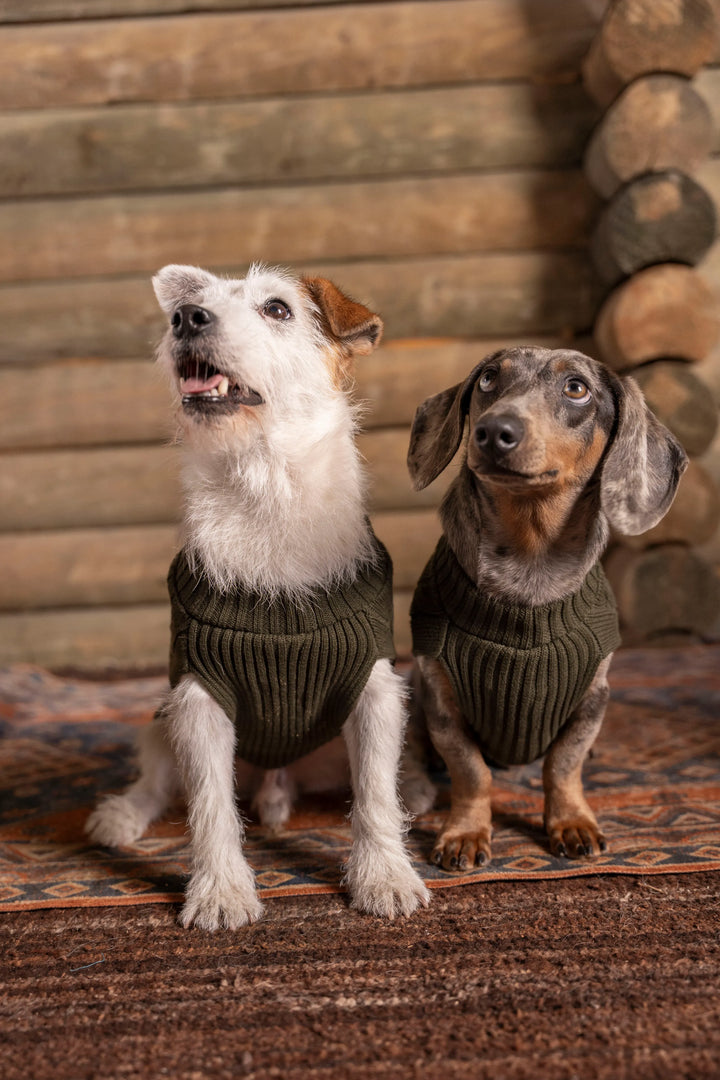 2-Pack Suéteres Perros Verde