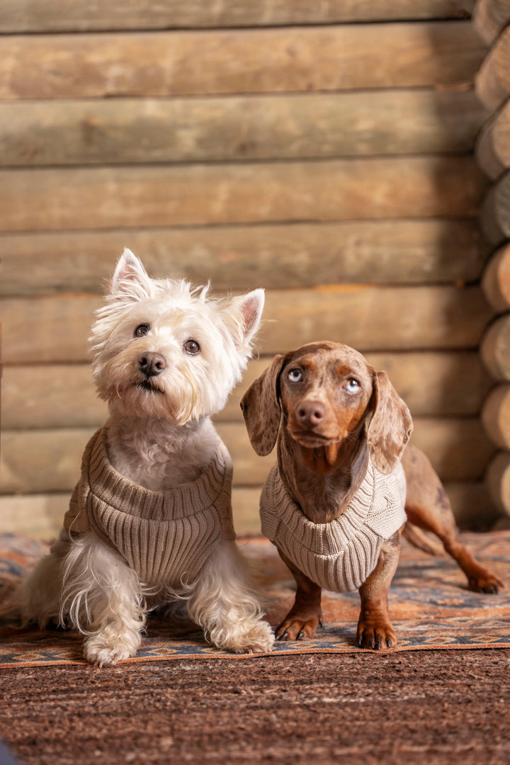 2-Pack Suéteres Perros Arena