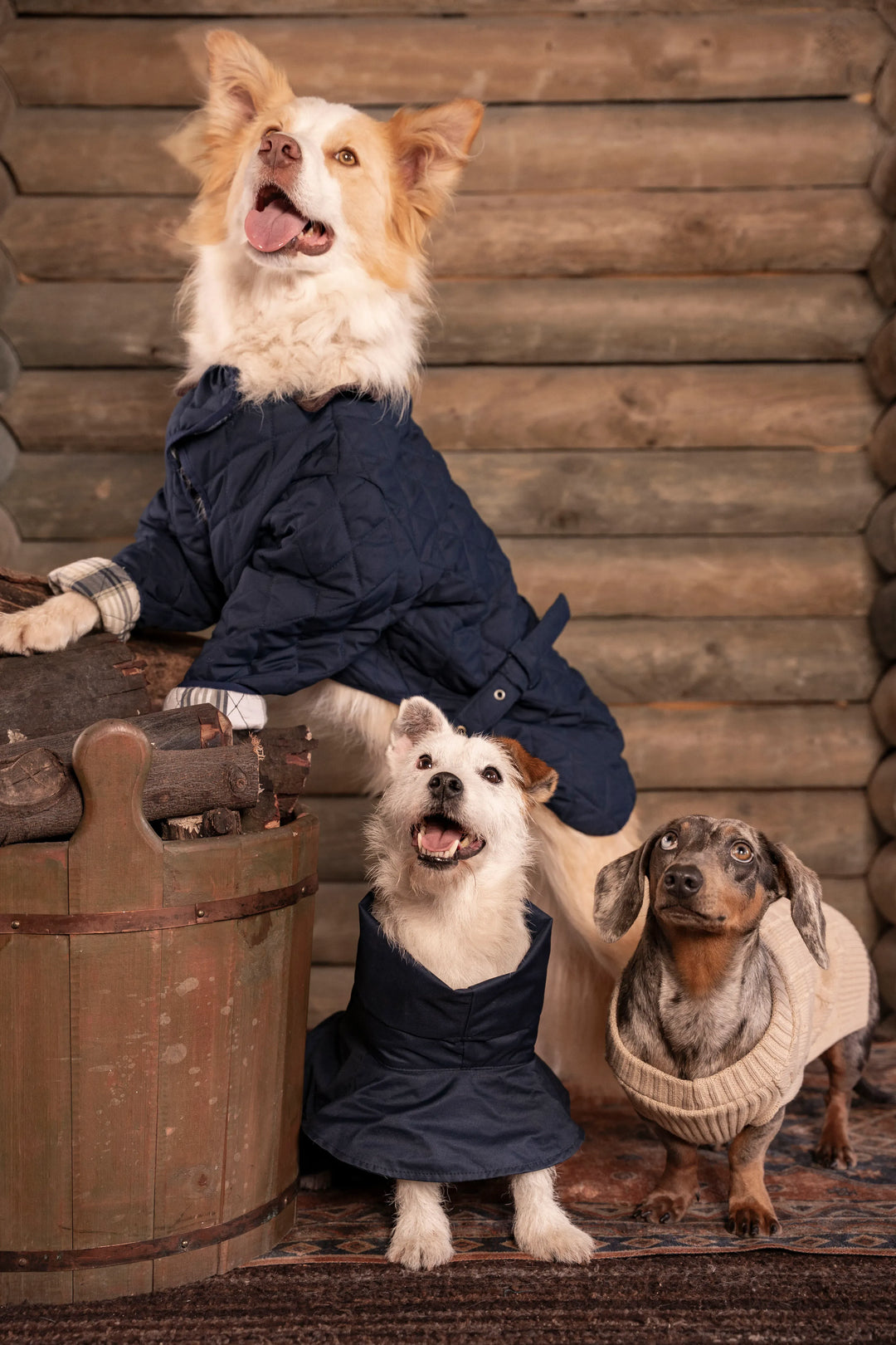 3-Pack Pets Classics