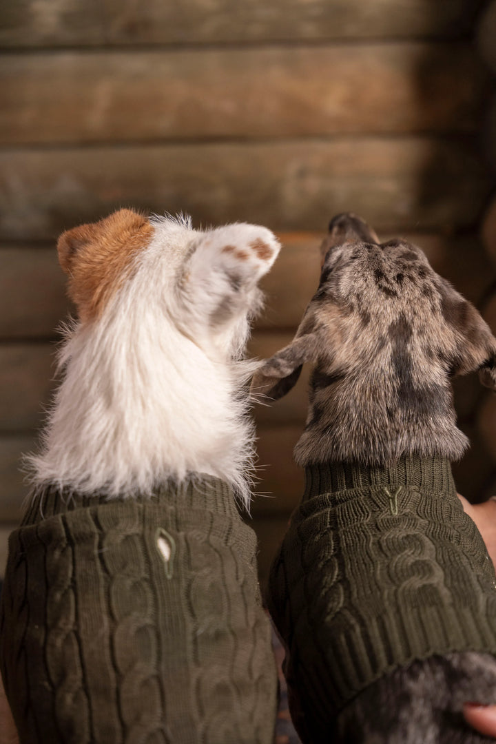 2-Pack Suéteres Perros Verde