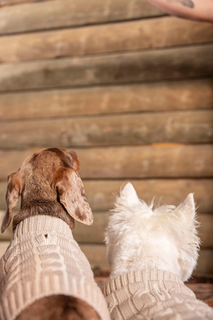 2-Pack Suéteres Perros Arena