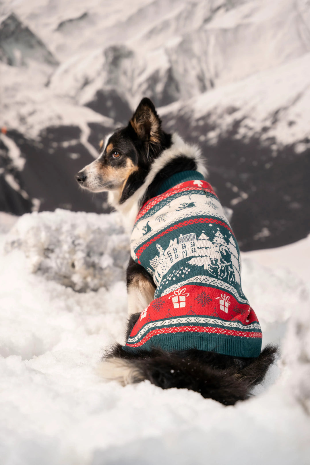 Not So Ugly Sweater Perros Verde