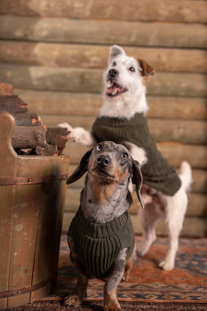 2-Pack Suéteres Perros Verde