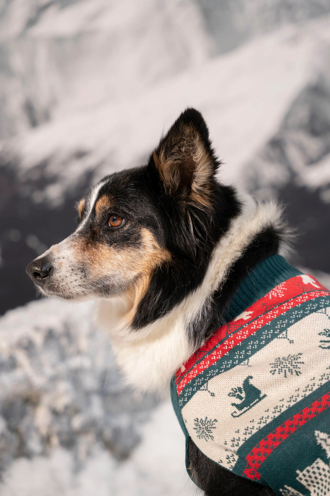Not So Ugly Sweater Perros Verde