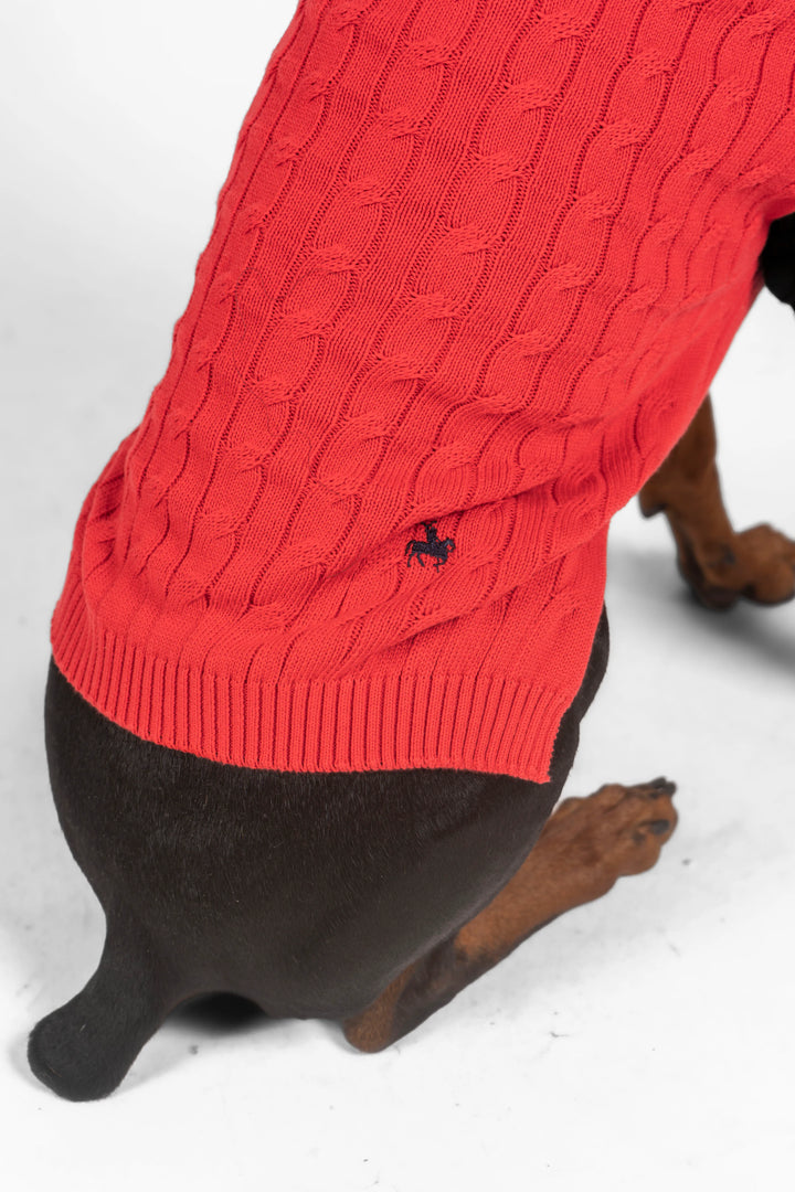Suéter Perros Rojo
