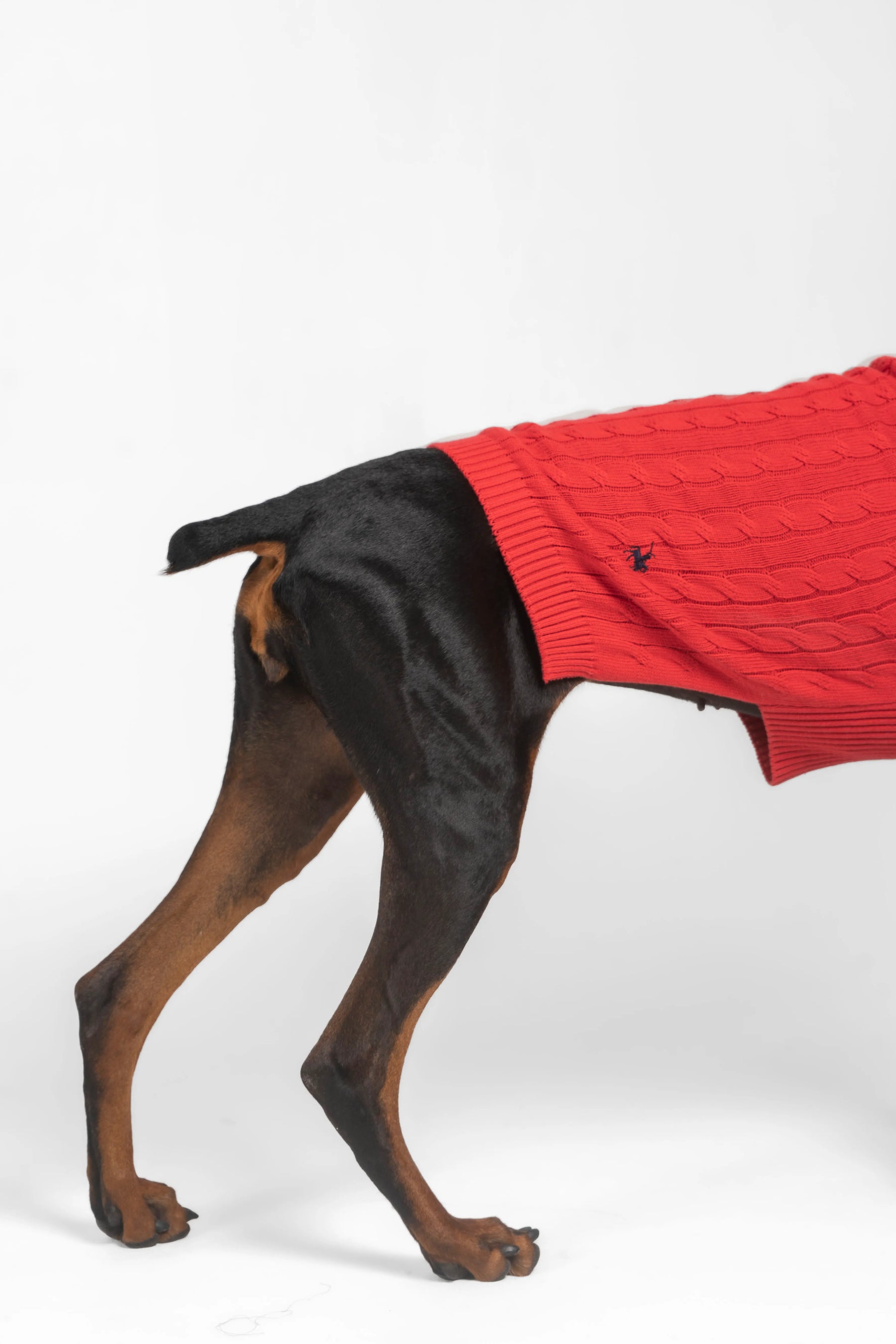 Suéter Perros Rojo