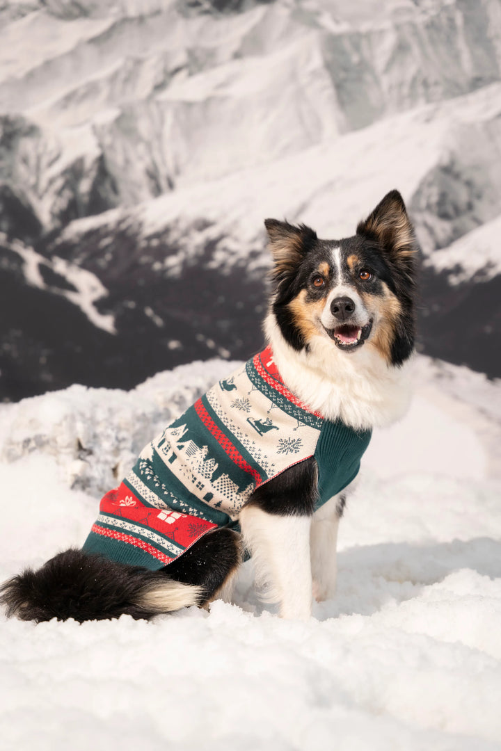 Not So Ugly Sweater Perros Verde