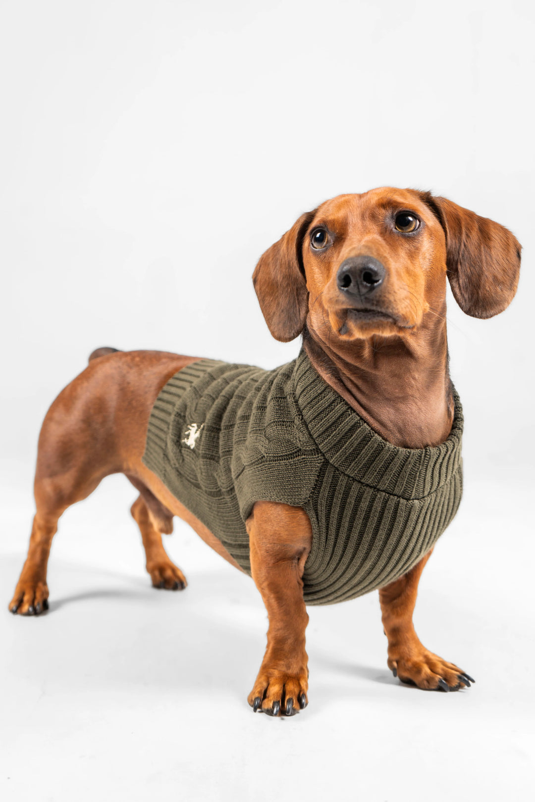 Suéter Perros Verde