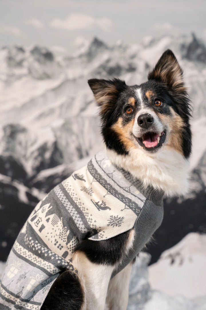 Not So Ugly Sweater Perros Gris