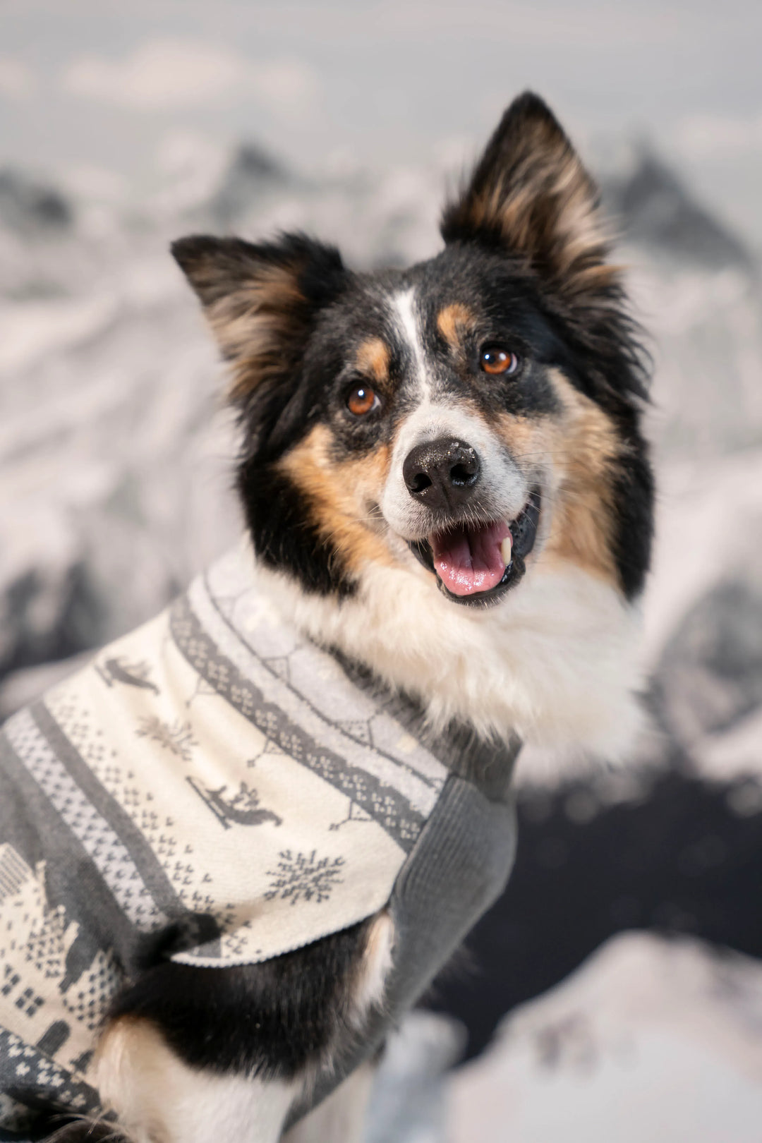 Not So Ugly Sweater Perros Gris