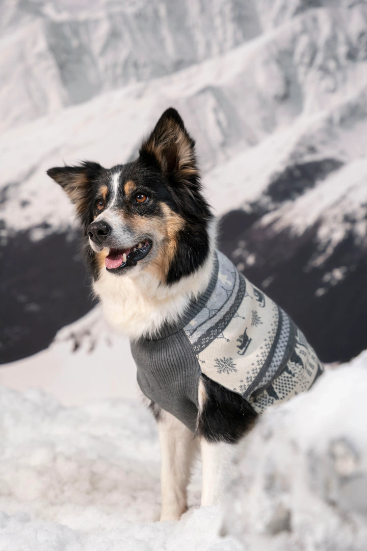 Not So Ugly Sweater Perros Gris