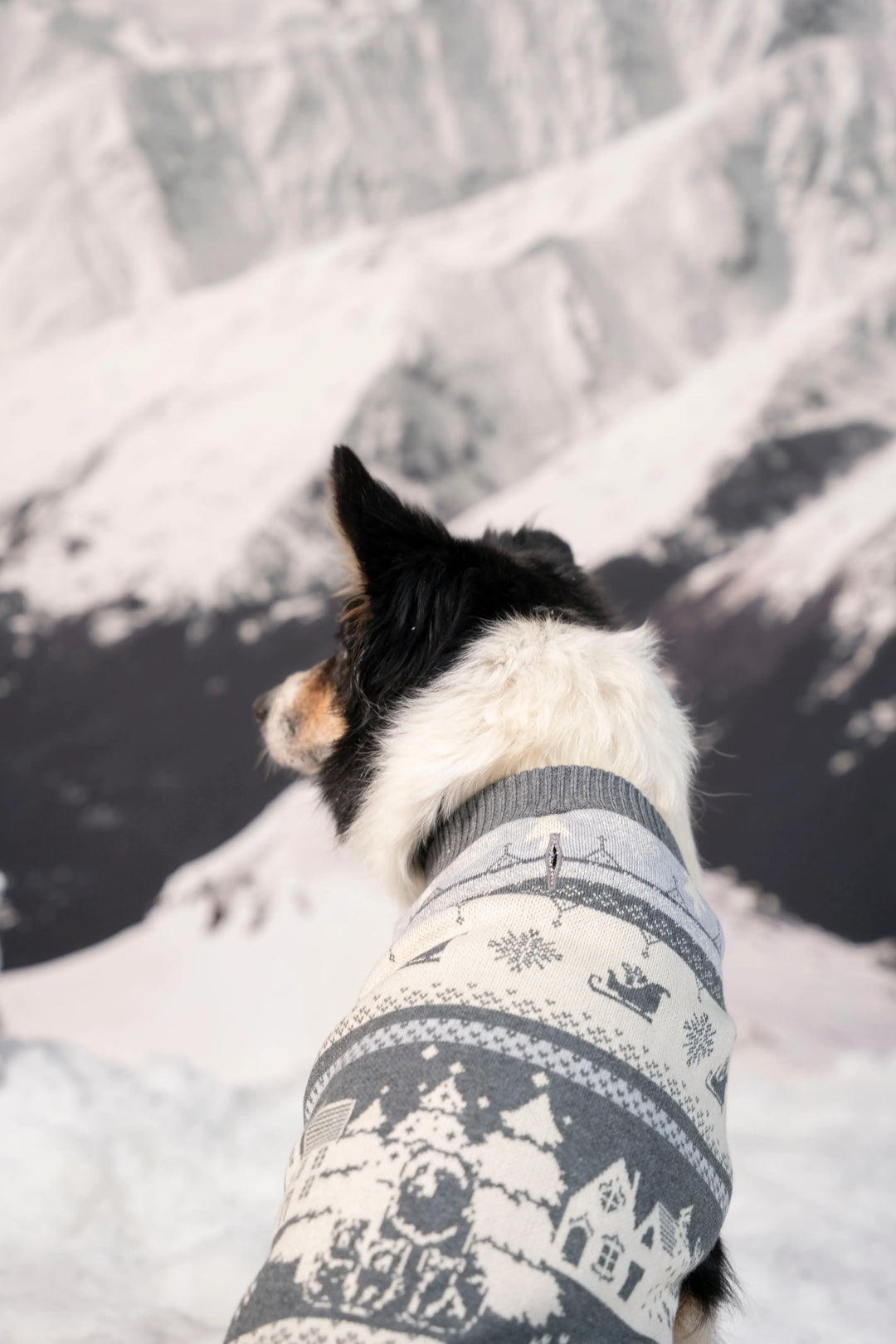 Not So Ugly Sweater Perros Gris