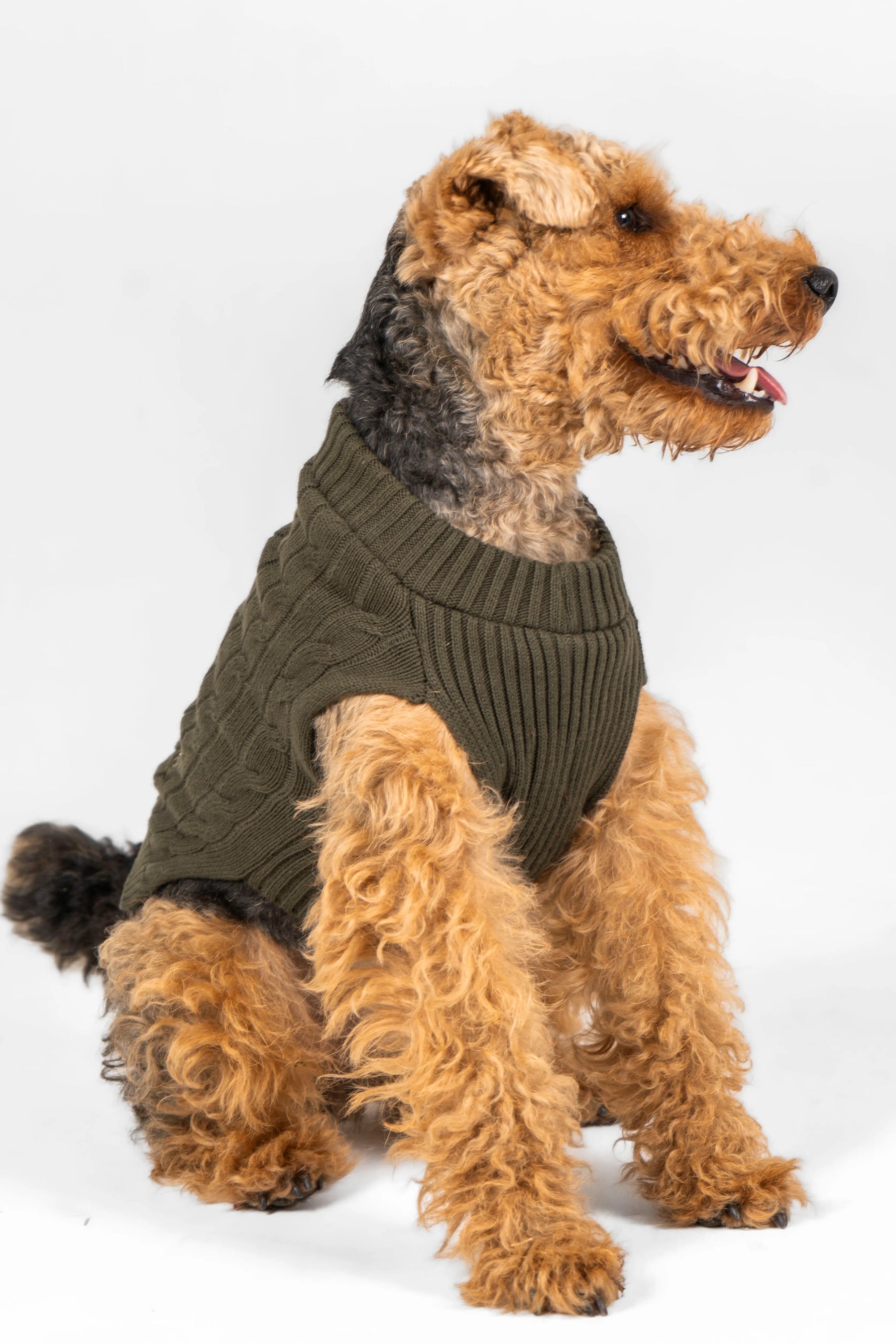 Suéter Perros Verde