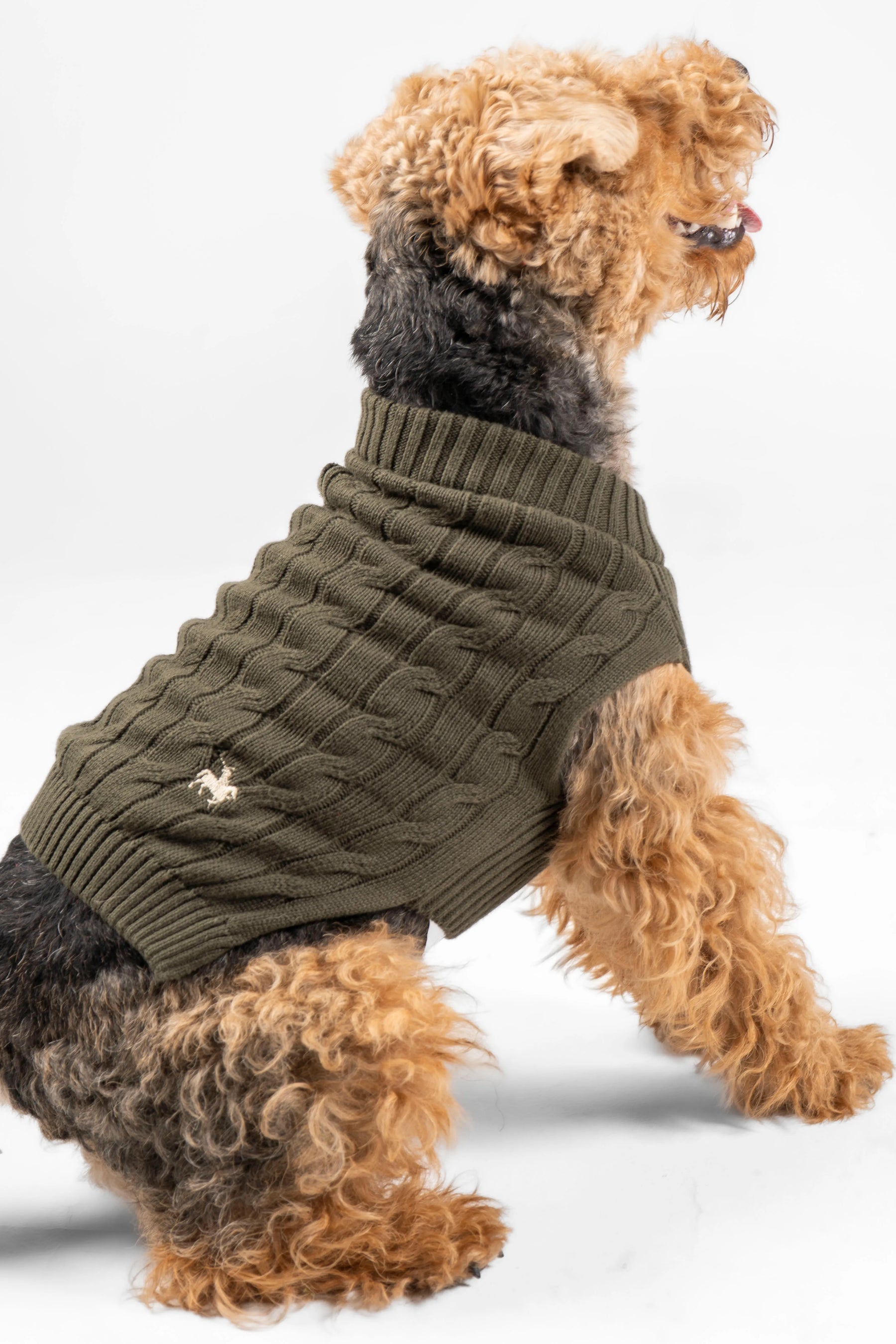 Suéter Perros Verde