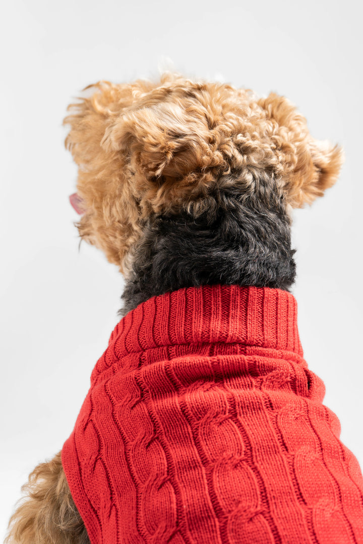 Suéter Perros Rojo