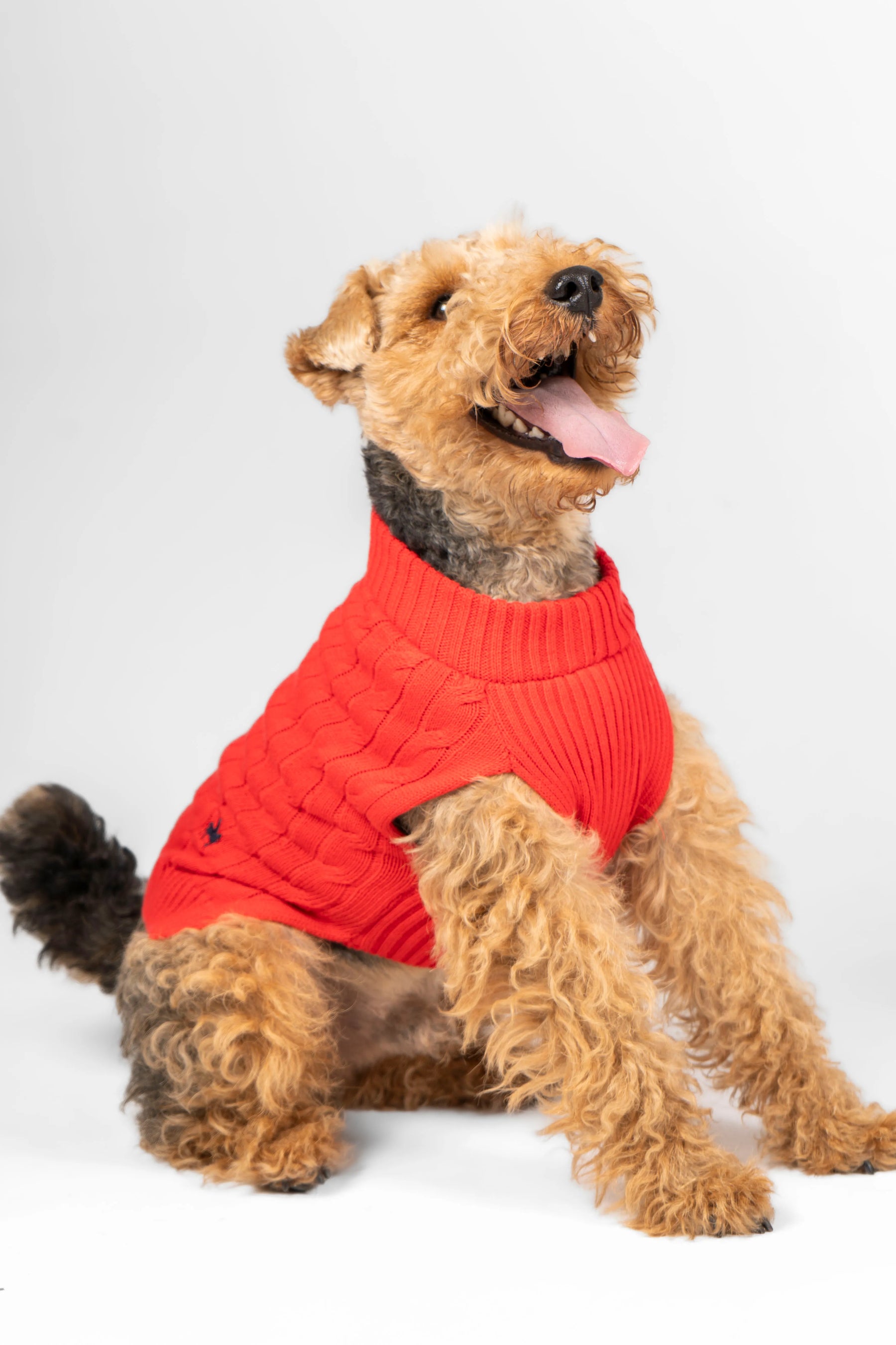 Suéter Perros Rojo