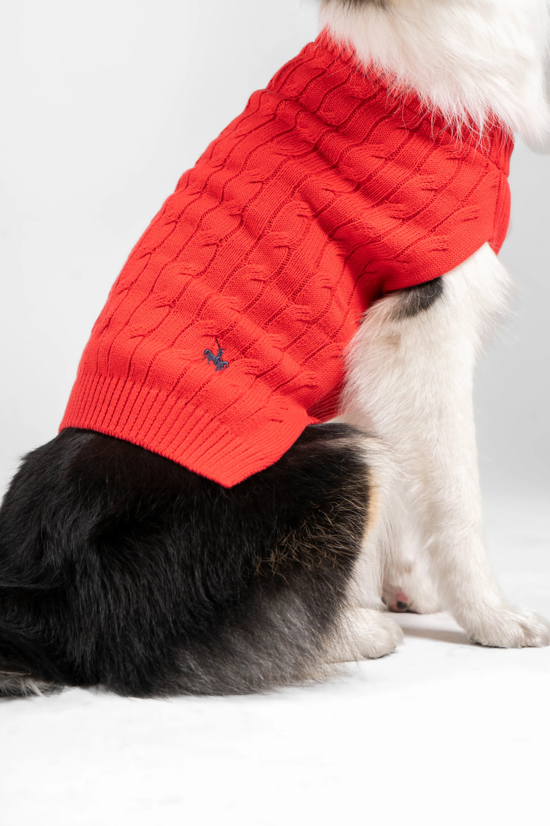 Suéter Perros Rojo