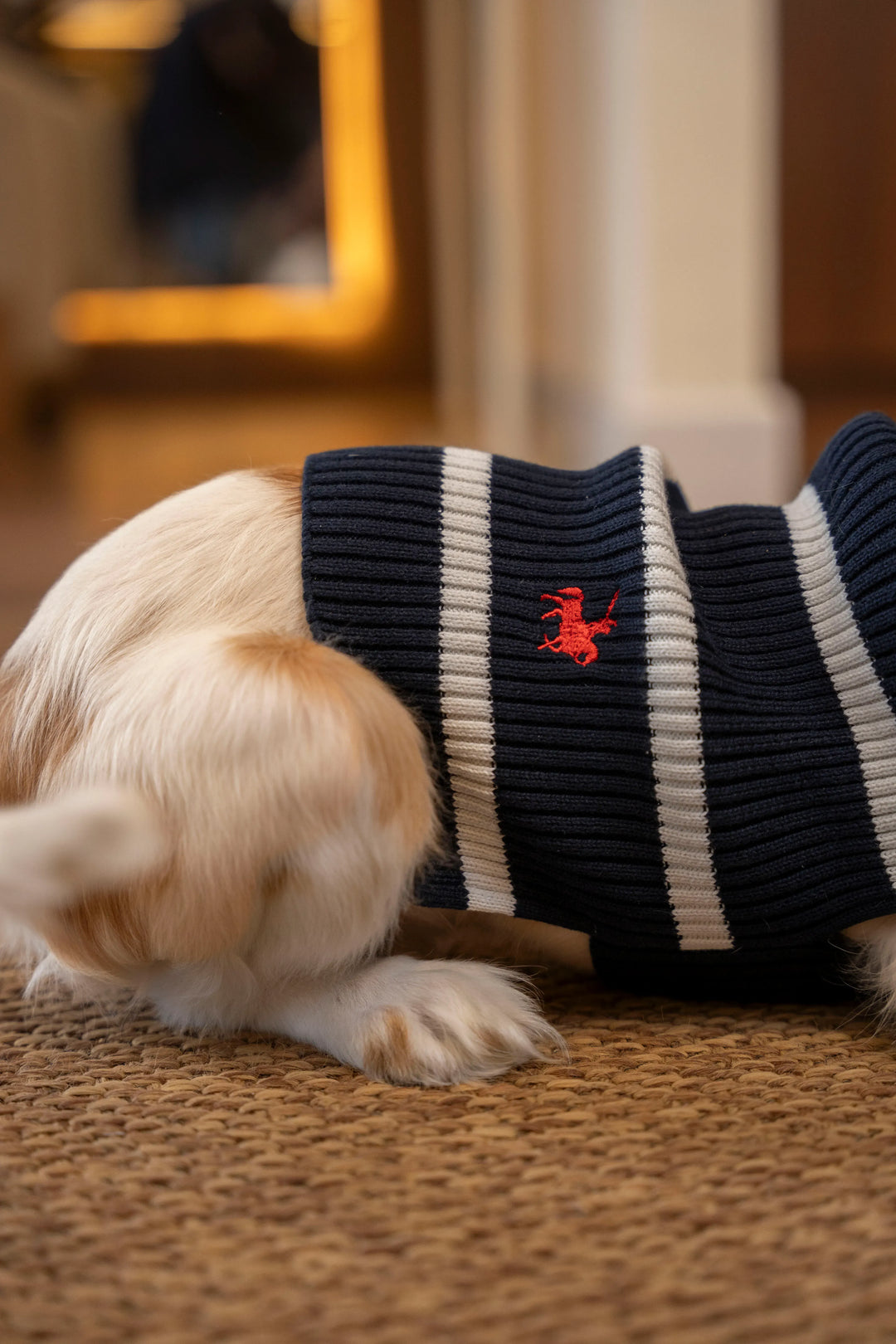 Suéter Perro Canales Azul oscuro