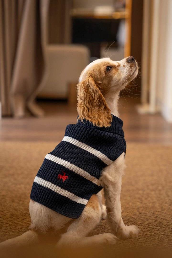 Suéter Perro Canales Azul oscuro