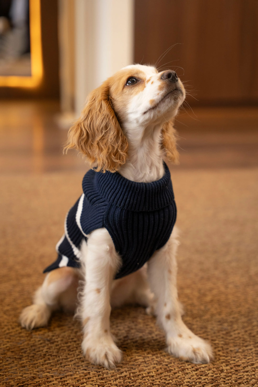 Suéter Perro Canales Azul oscuro