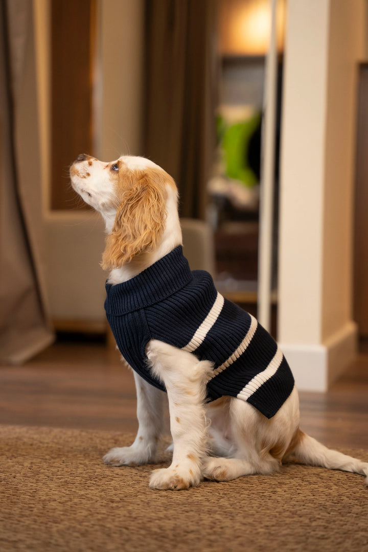 Suéter Perro Canales Azul oscuro