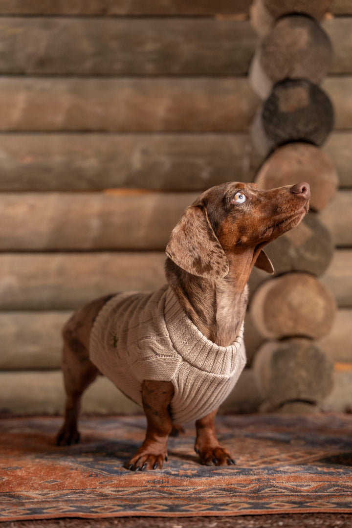 Suéter Perros Arena