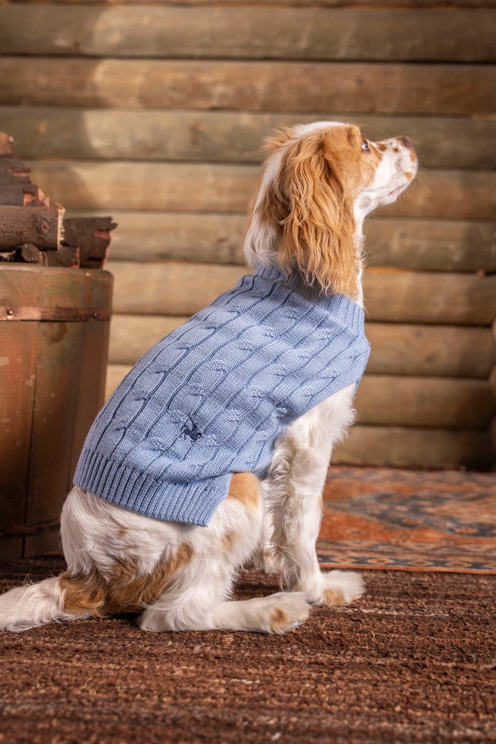 Suéter Perros Azul Cielo