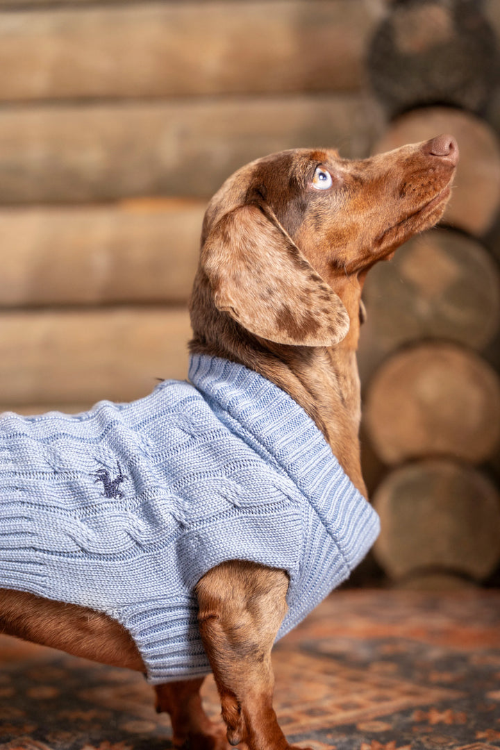 Suéter Perros Azul Cielo