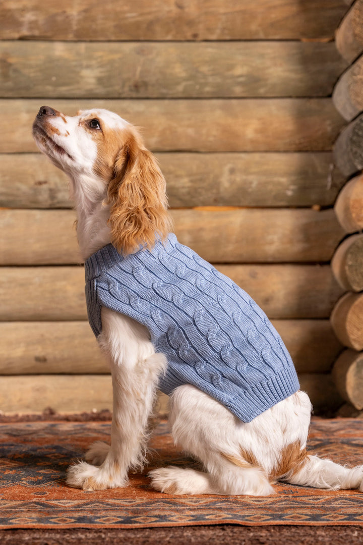 Suéter Perros Azul Cielo