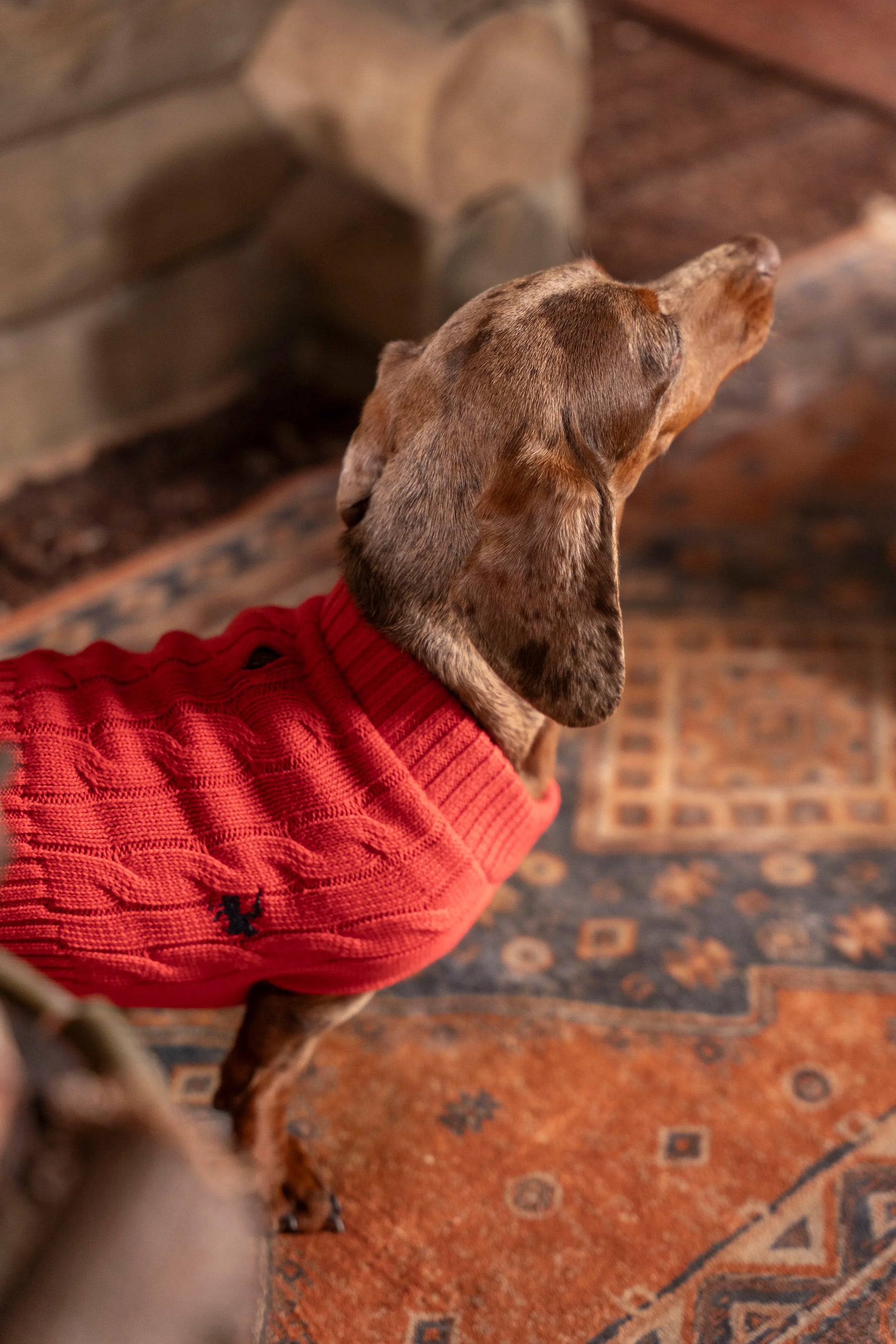 Suéter Perros Rojo
