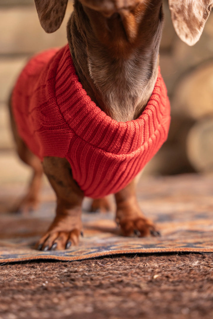 Suéter Perros Rojo