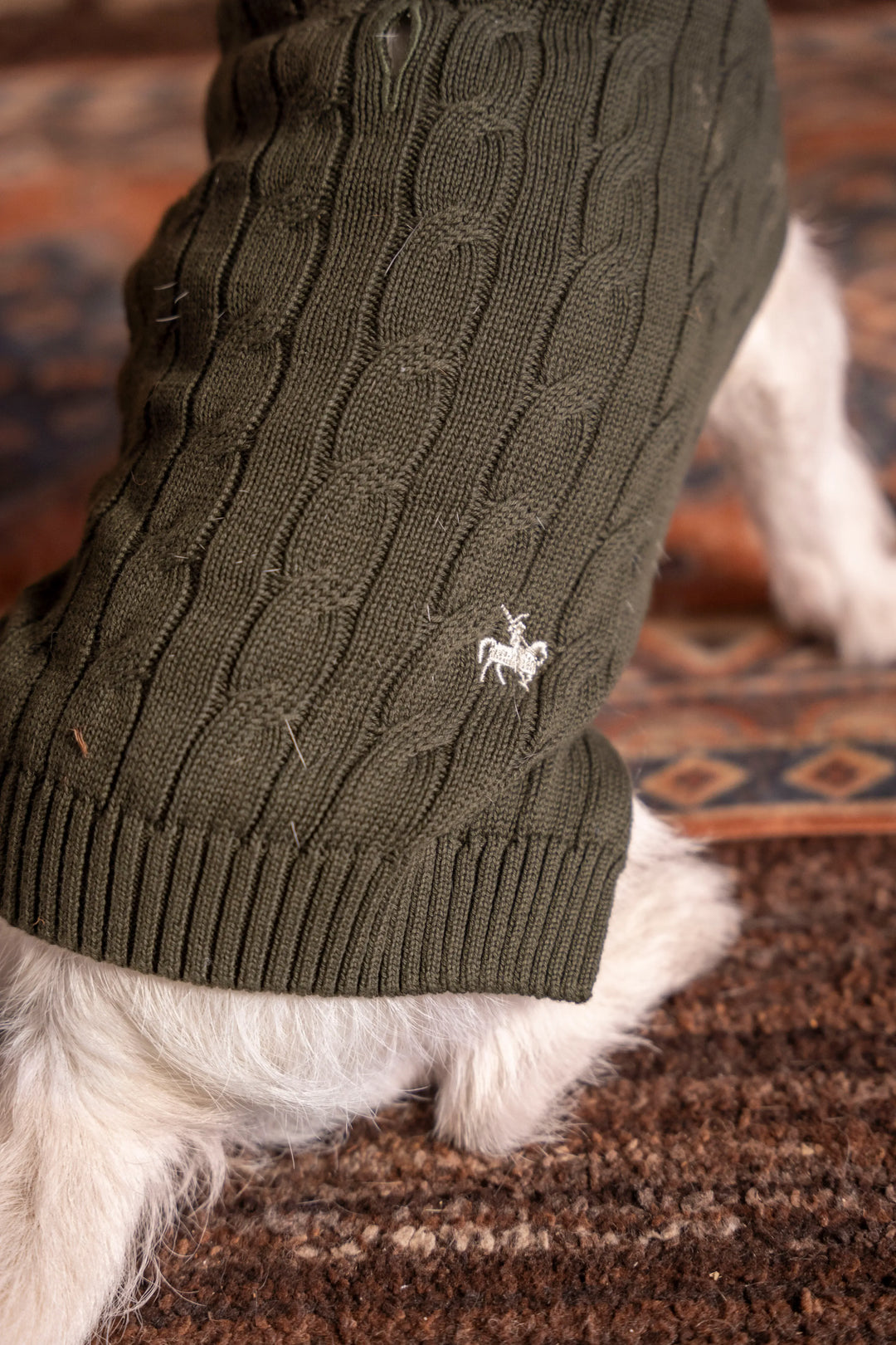 Suéter Perros Verde