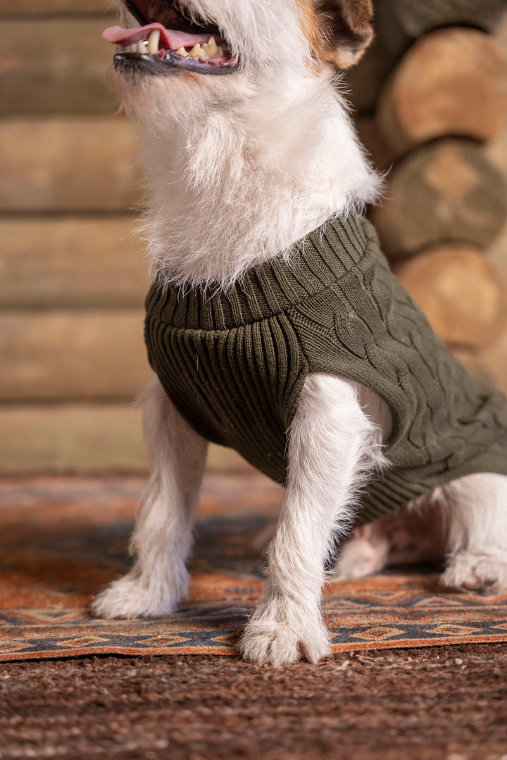 Suéter Perros Verde