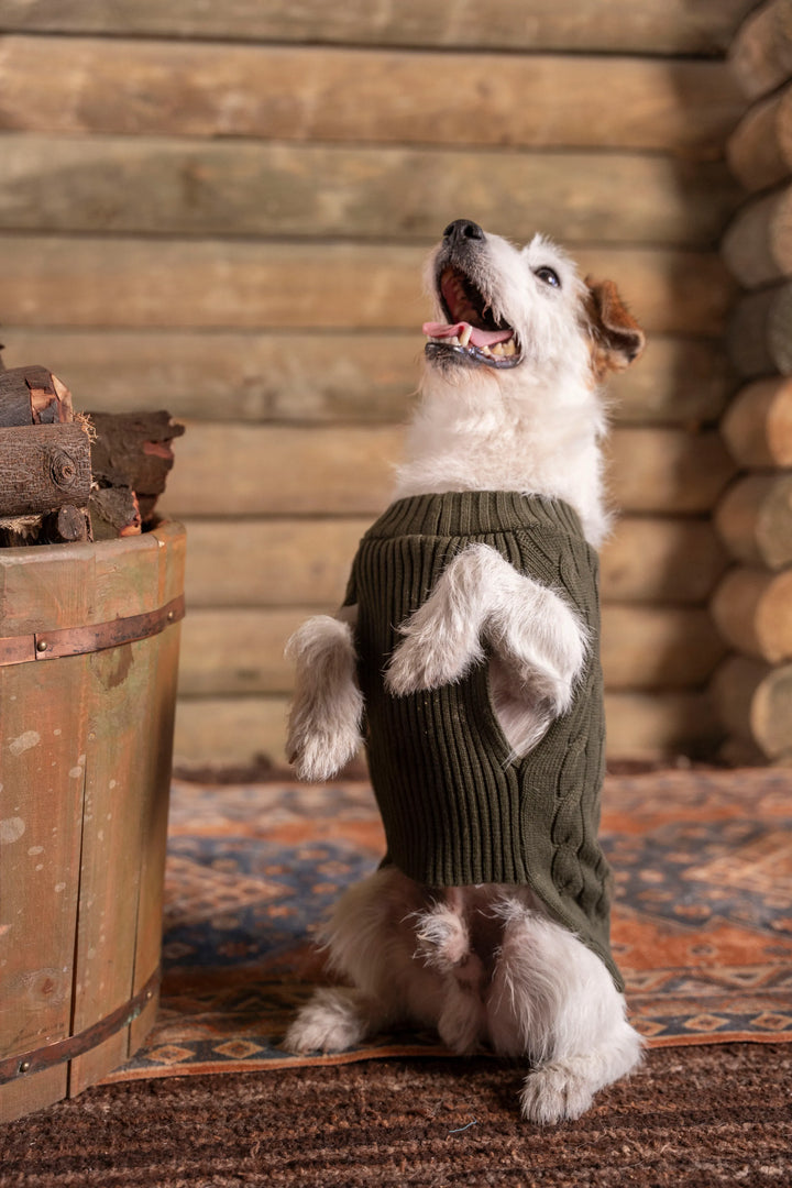 Suéter Perros Verde