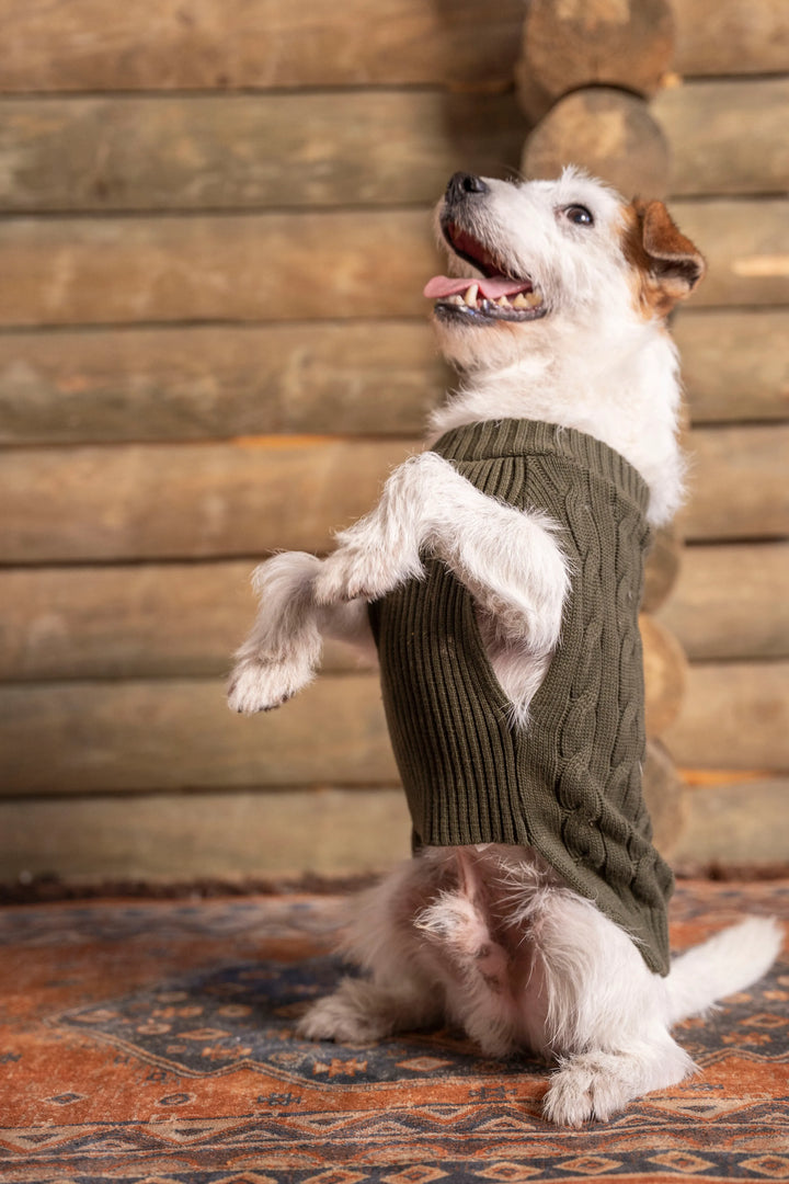 Suéter Perros Verde