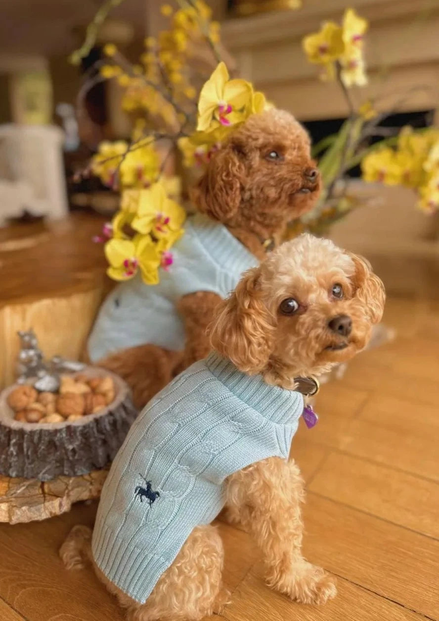 Suéter Perros Azul Cielo