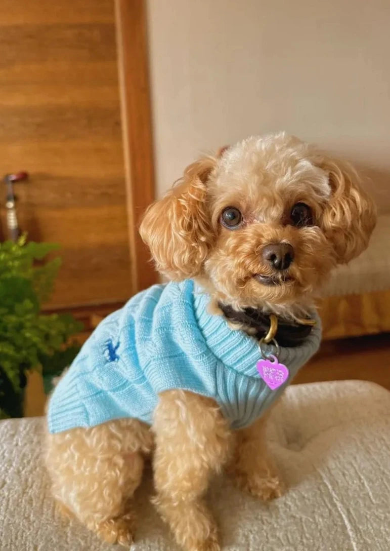 Suéter Perros Azul Cielo