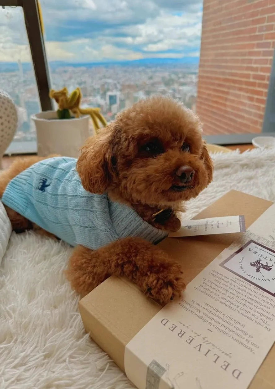 Suéter Perros Azul Cielo