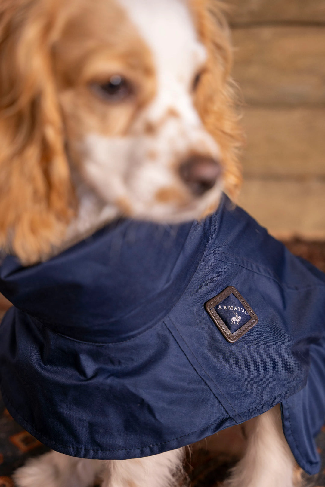 Impermeable Presidential Perro Azul Oscuro