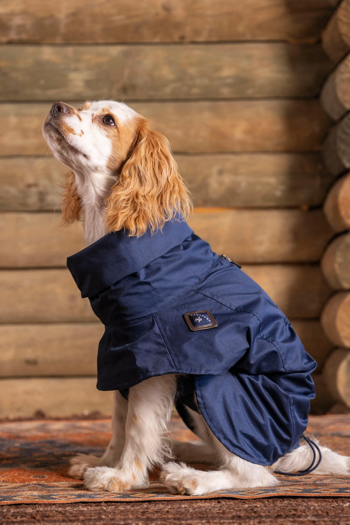 Impermeable Presidential Perro Azul Oscuro