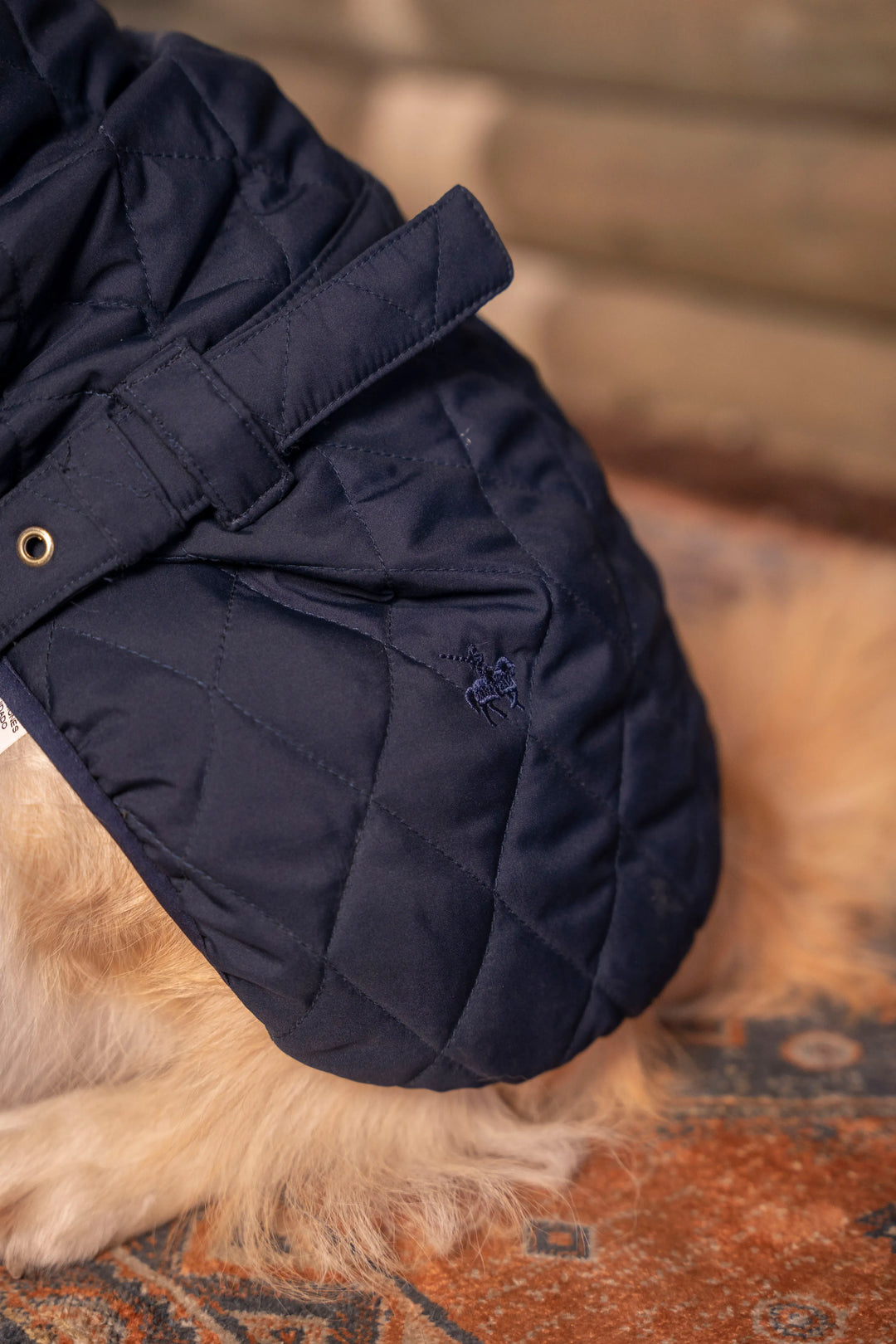 Balmoral Perro Azul Oscuro