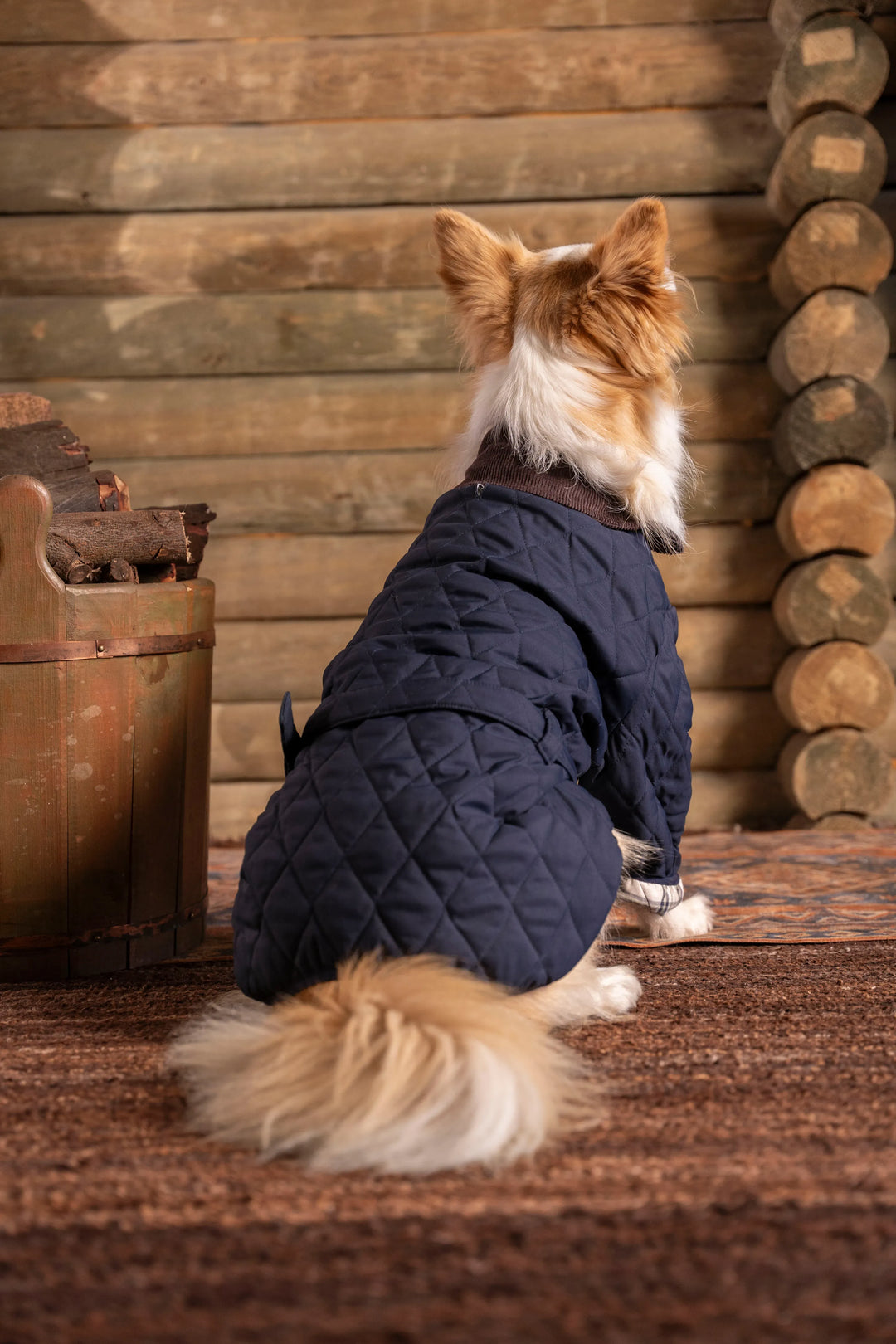 Balmoral Perro Azul Oscuro