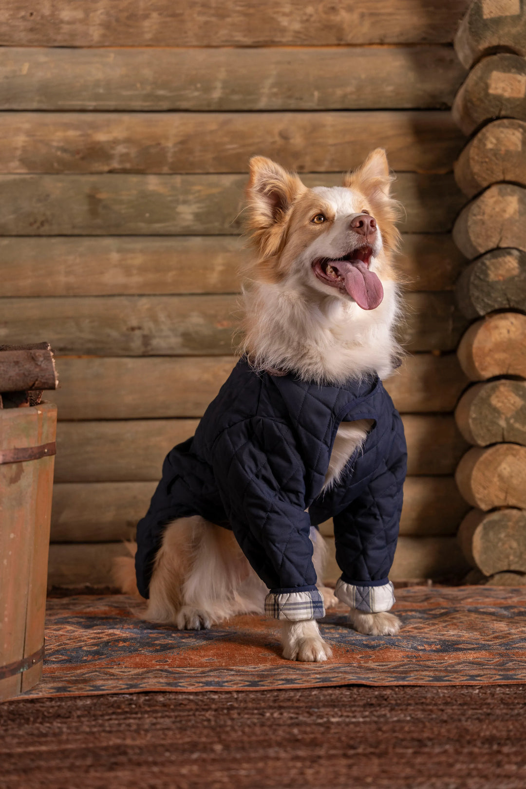 Balmoral Perro Azul Oscuro